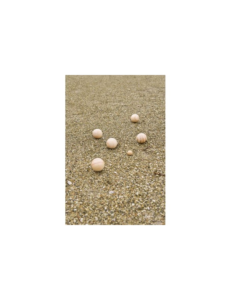 Ensemble de jeu de boules en bois Quillian