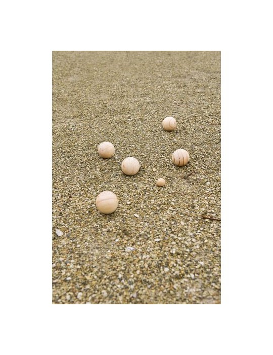 Ensemble de jeu de boules en bois Quillian