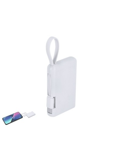 Power Bank Brandin