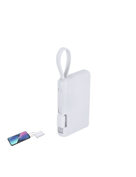 Power Bank Brandin