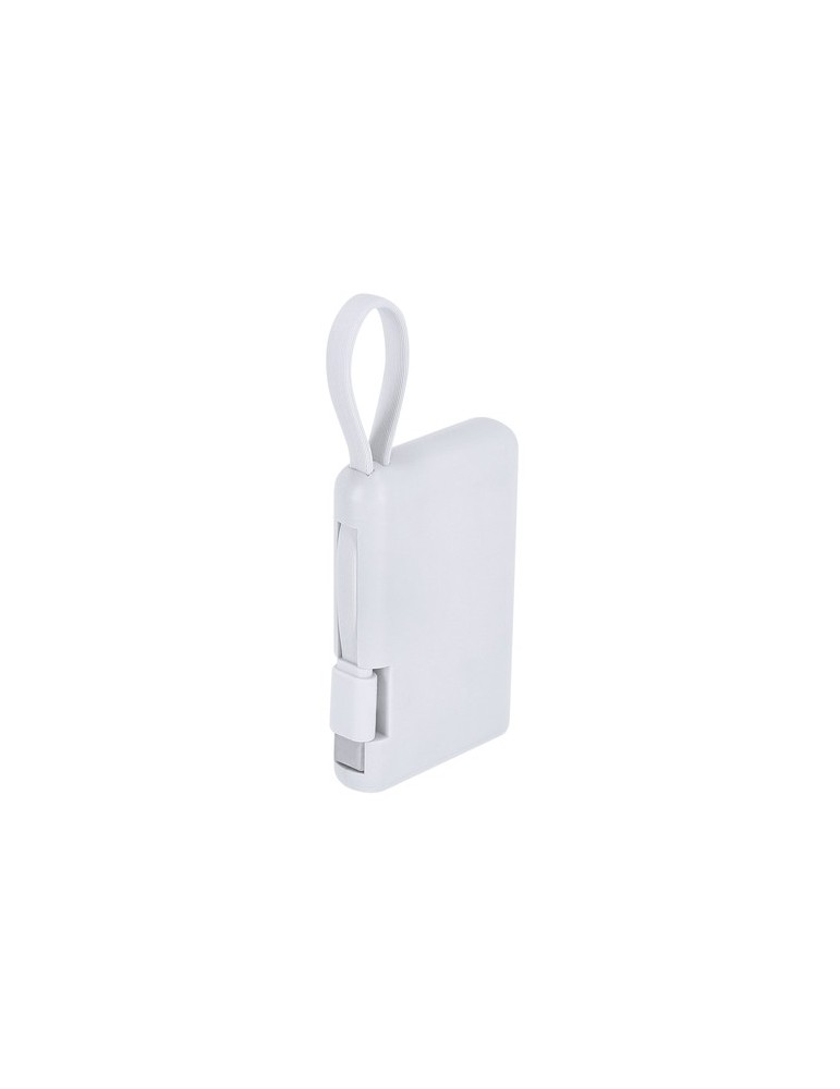 Power Bank Brandin