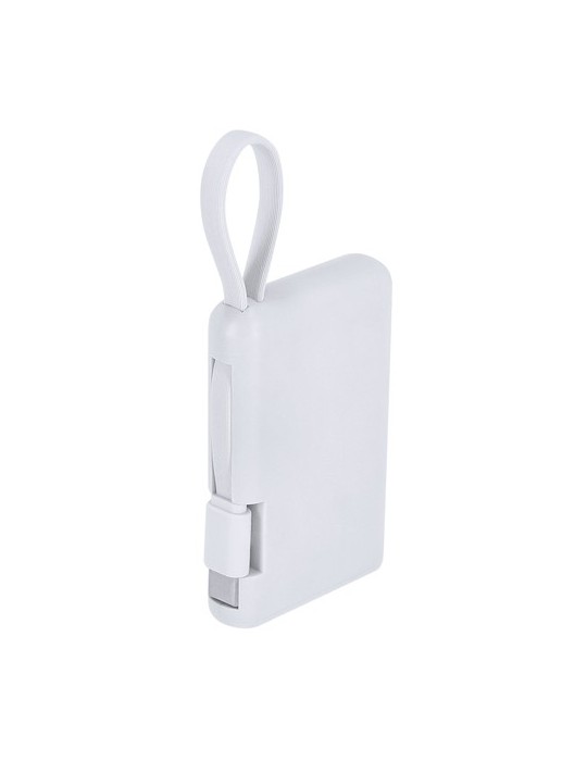 Power Bank Brandin