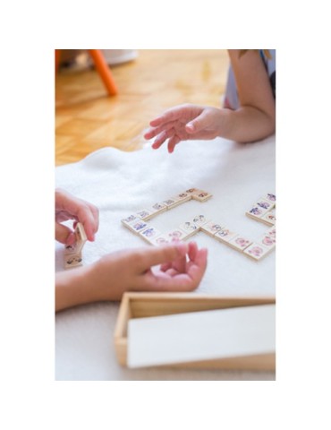 Jeu de dominos dans | Tiernan 2