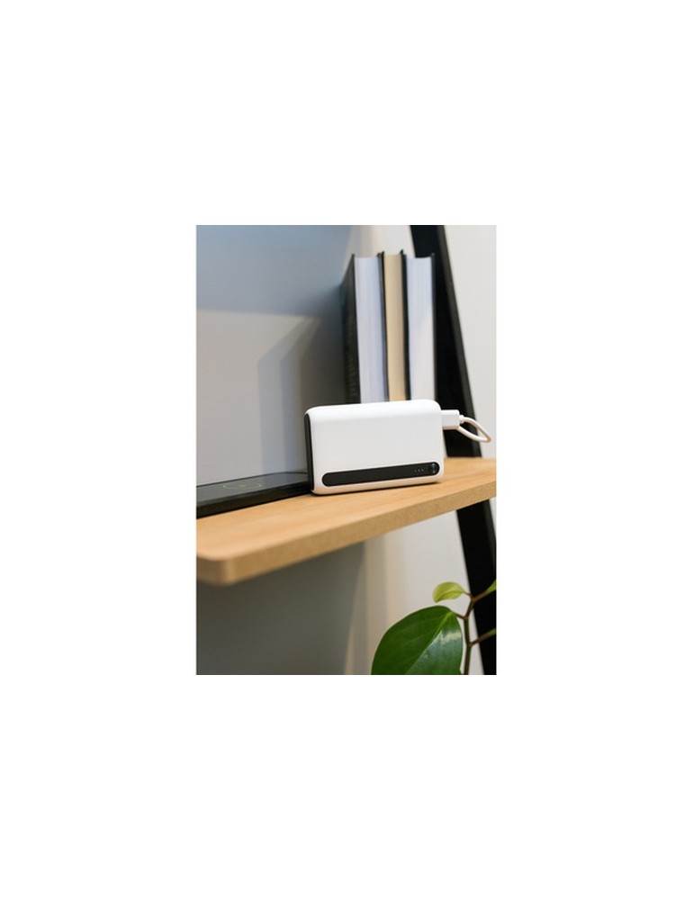 Power Bank 10000 mAh | Dashonte