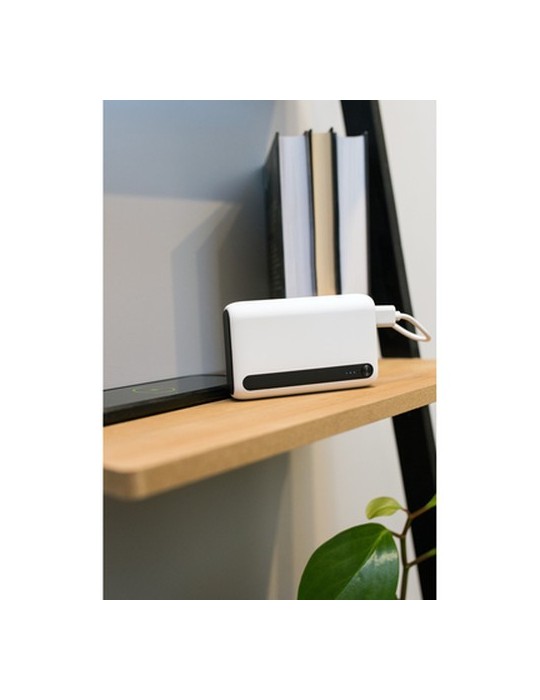 Power Bank 10000 mAh | Dashonte