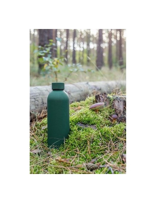 Bouteille isotherme 500 ml | Terryl