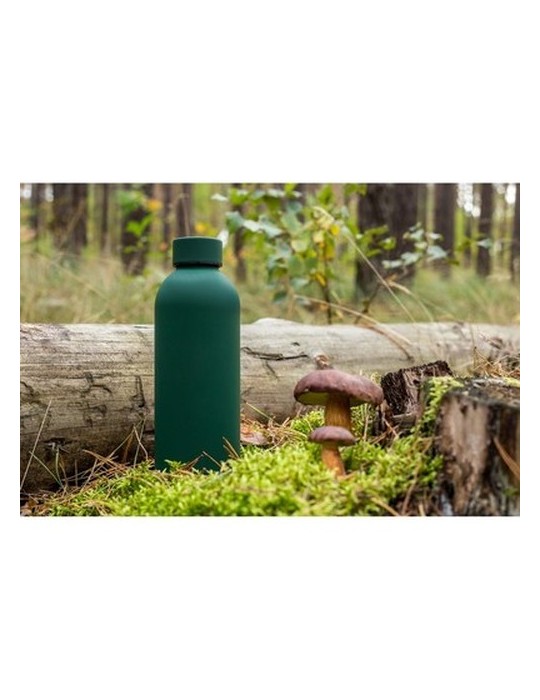 Bouteille isotherme 500 ml | Terryl