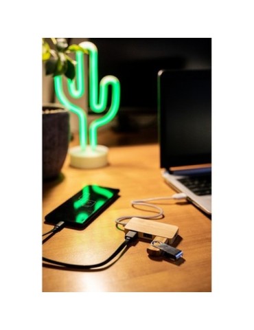 Hub USB et USB-C Bambou B'RIGHT | Kenzie 2
