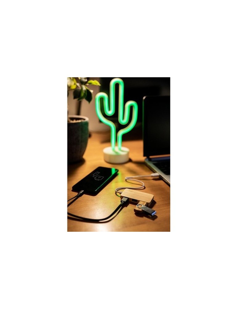 Hub USB et USB-C Bambou B'RIGHT | Kenzie