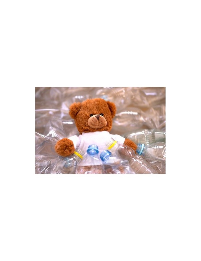 Ours en peluche RPET | Denis R