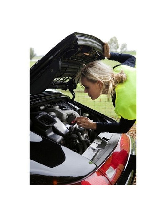 Porte-clés avec mousqueton, 3 LED