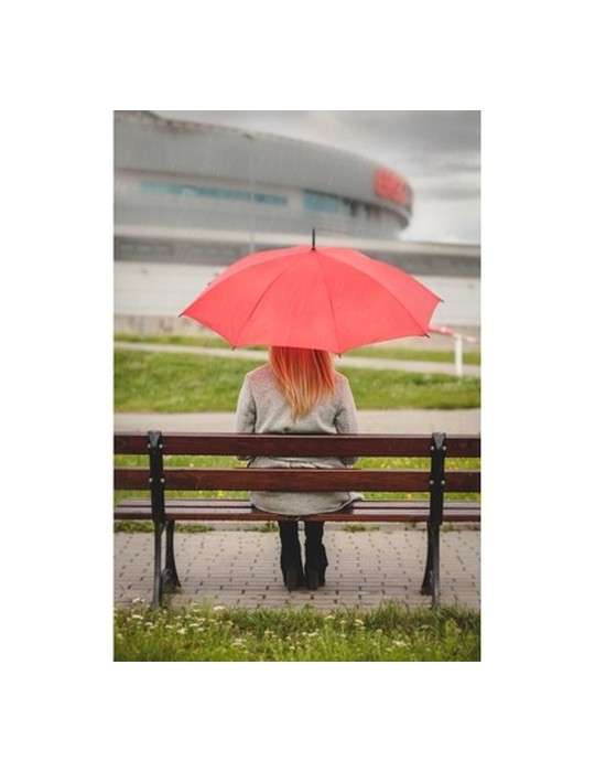 Parapluie automatique | Dwight