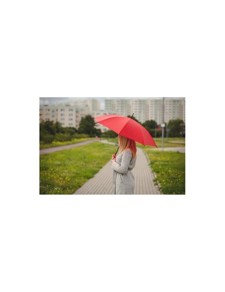 Parapluie automatique | Dwight