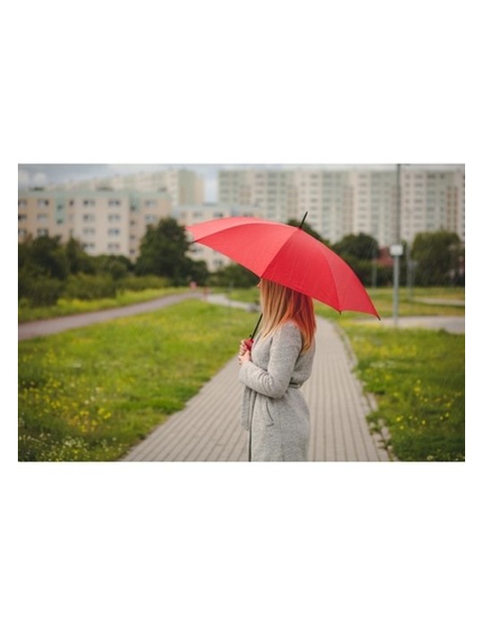 Parapluie automatique | Dwight