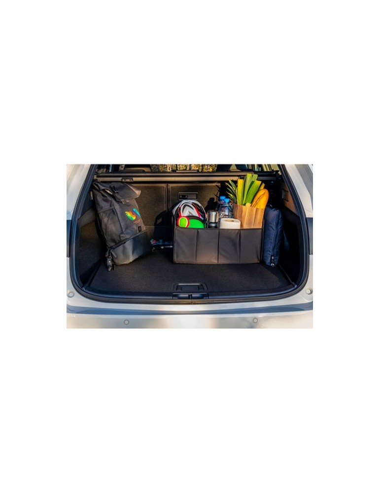 Organiseur de voiture pliable | Reign