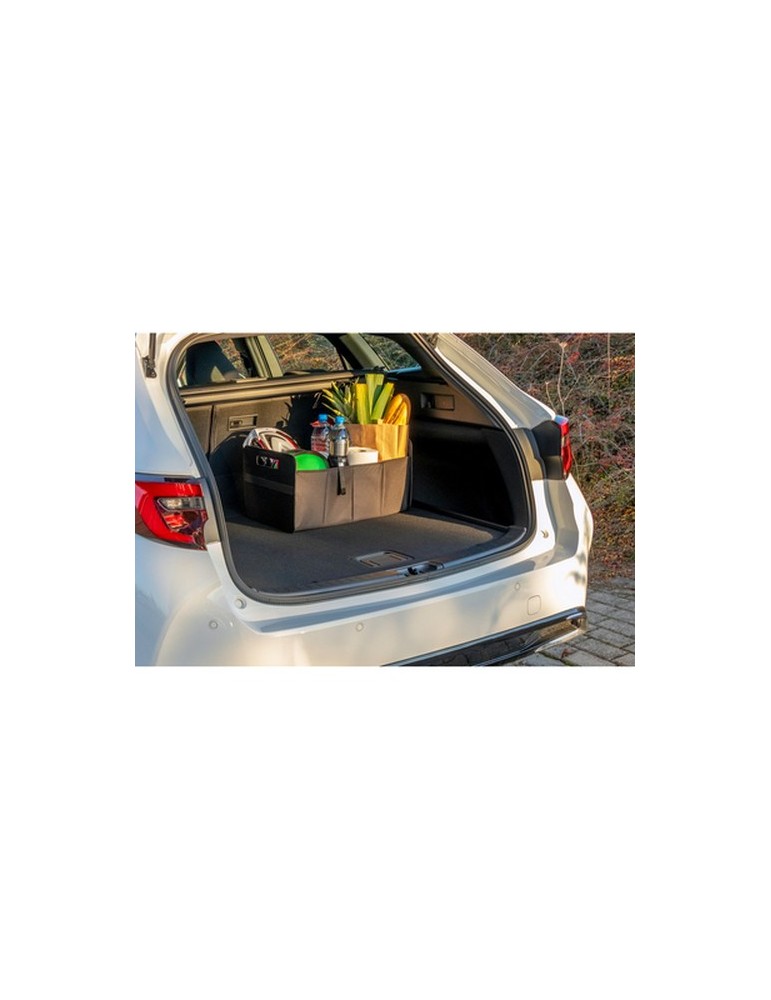 Organiseur de voiture pliable | Reign