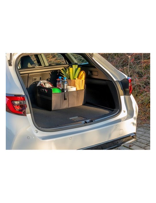 Organiseur de voiture pliable | Reign