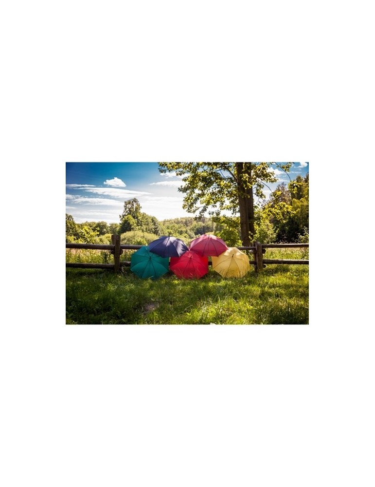 Parapluie automatique | Hayden