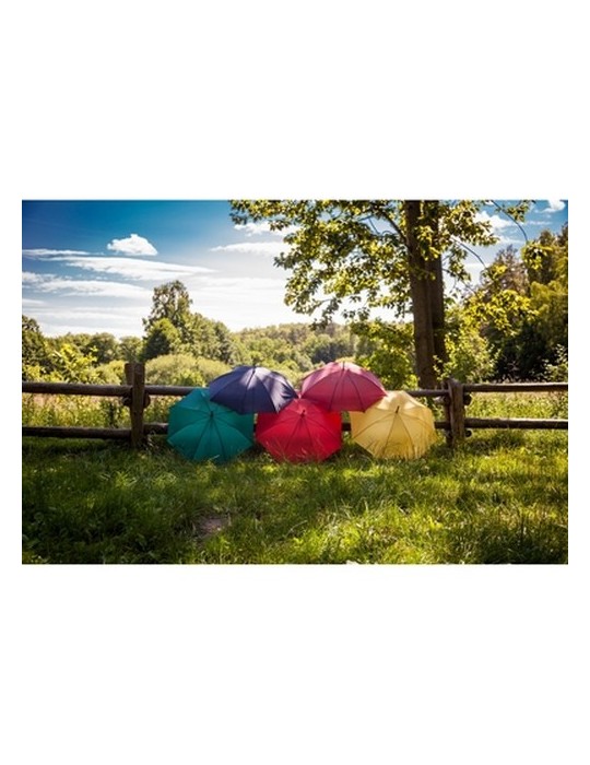 Parapluie automatique | Hayden