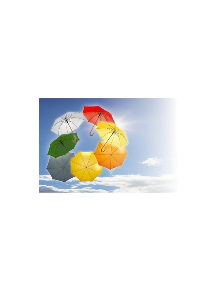 Parapluie automatique | Hayden