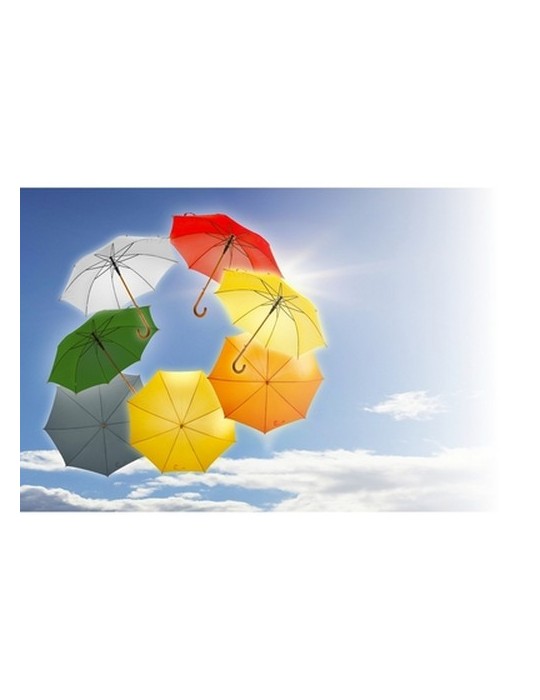 Parapluie automatique | Hayden