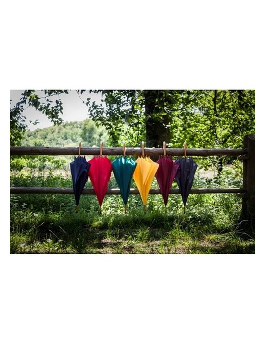 Parapluie automatique | Hayden