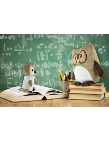 Peluche hibou, porte-clés | Cleverly 2