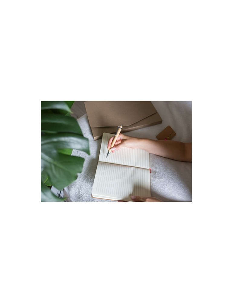 Stylo bille en bambou | Vihaan