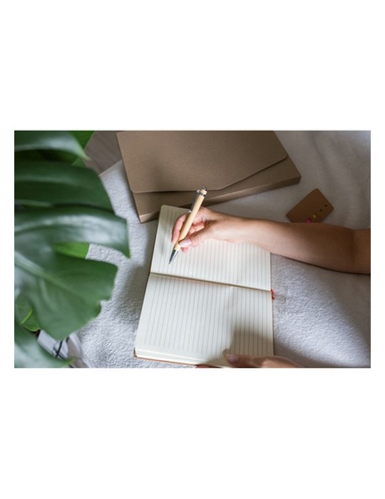 Stylo bille en bambou | Vihaan