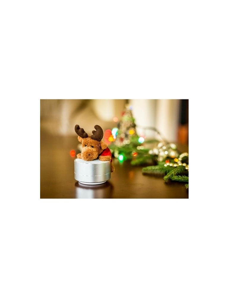 Enceinte sans fil, radio | Silas