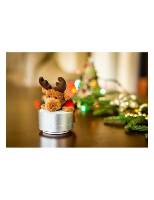 Enceinte sans fil, radio | Silas