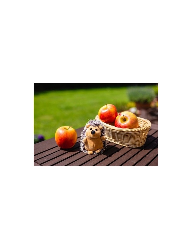 Hérisson en peluche | Spiky