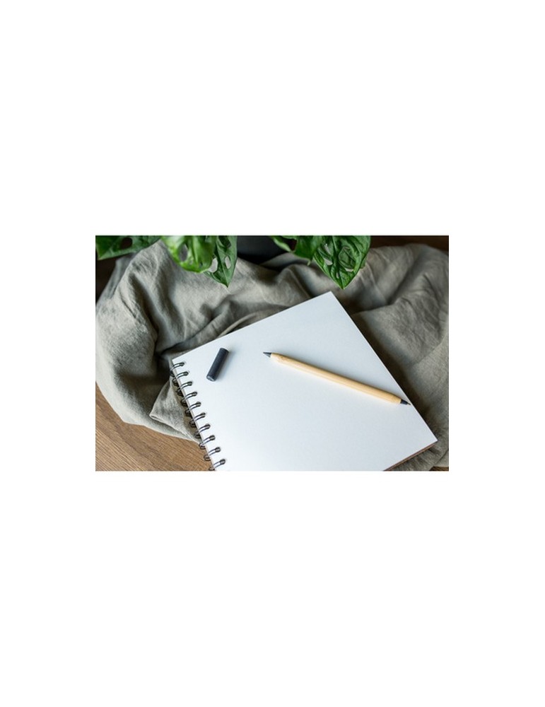 Stylo bille en bambou 2 en 1, crayon "infini" | Mikayla