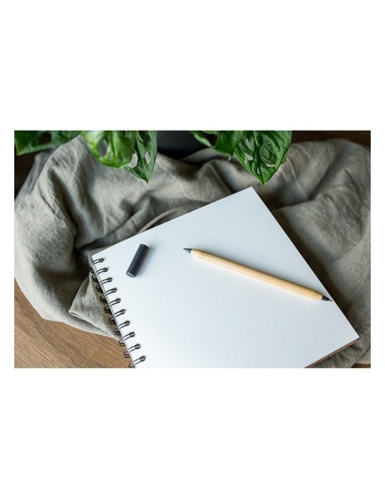 Stylo bille en bambou 2 en 1, crayon "infini" | Mikayla