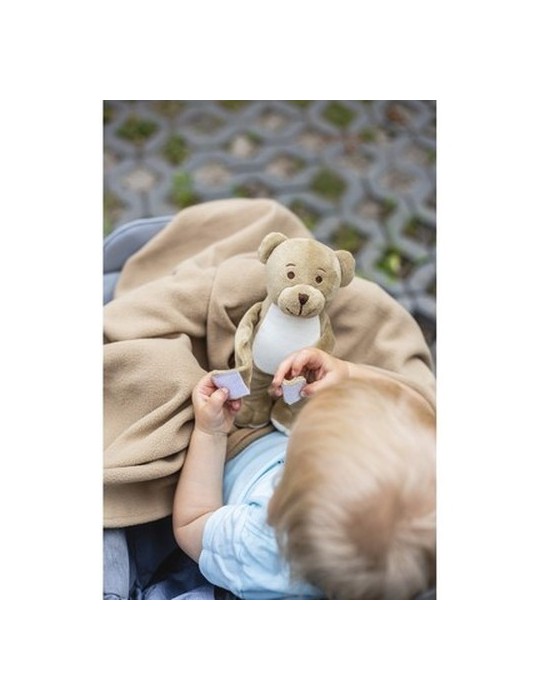 Ours avec une couverture | Phil