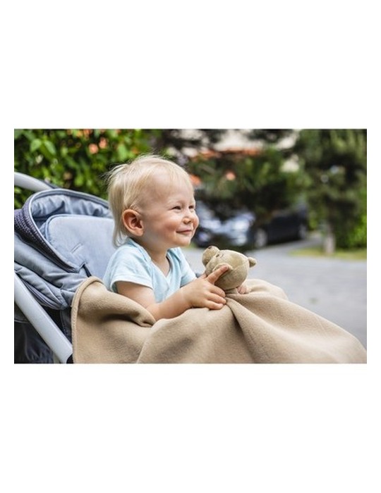 Ours avec une couverture | Phil