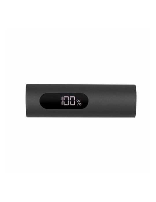Power Bank 10000 mAh | Walt