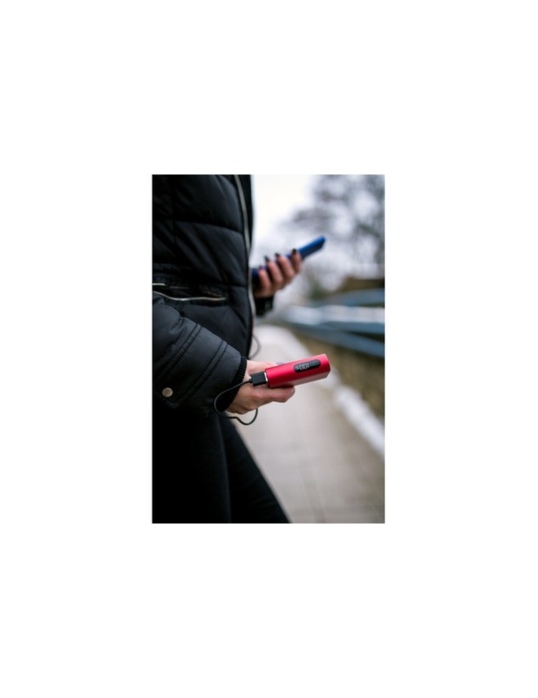 Power Bank 10000 mAh | Walt