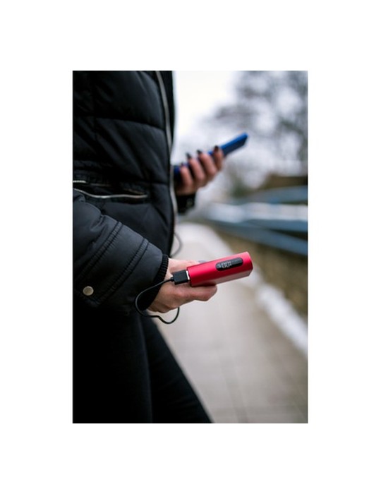 Power Bank 10000 mAh | Walt