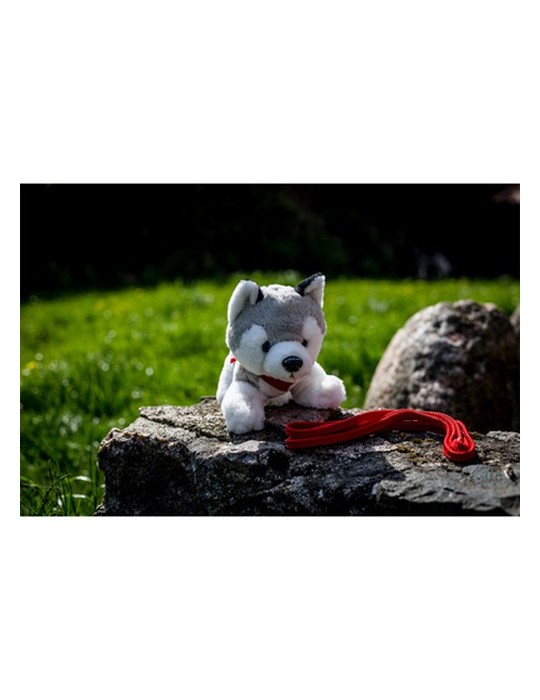 Chien Husky | Trooper