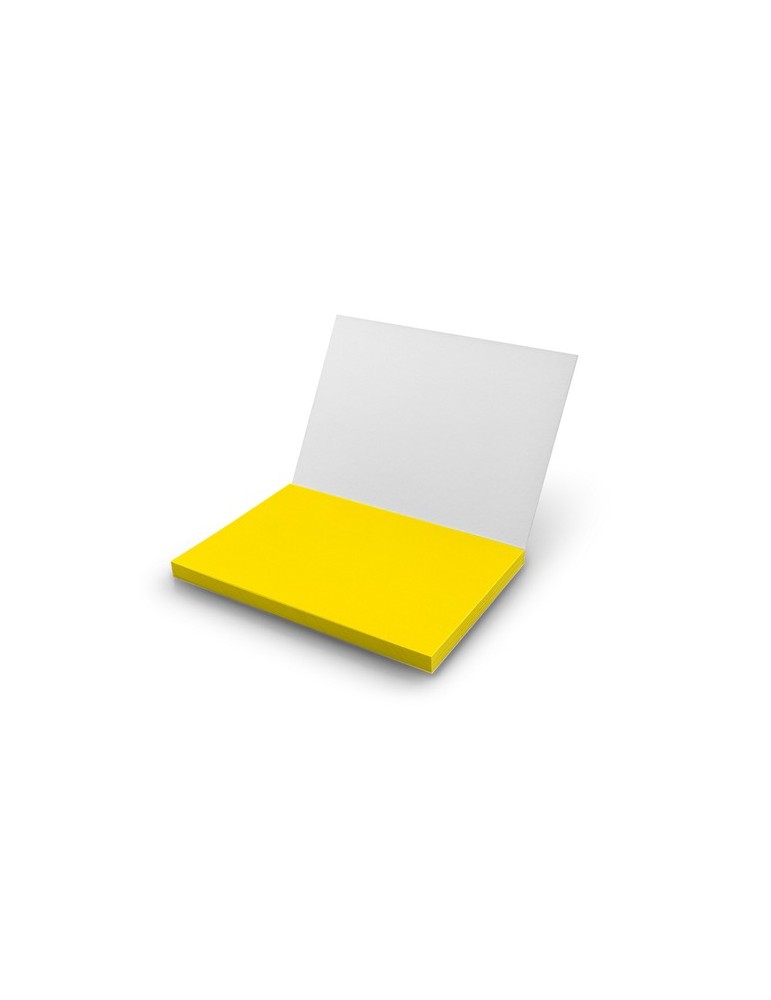 Notes autocollantes électrostatiques | Rolly