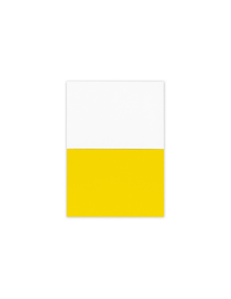 Notes autocollantes électrostatiques | Rolly