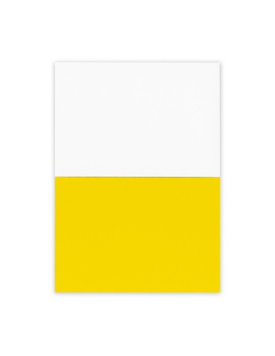 Notes autocollantes électrostatiques | Rolly