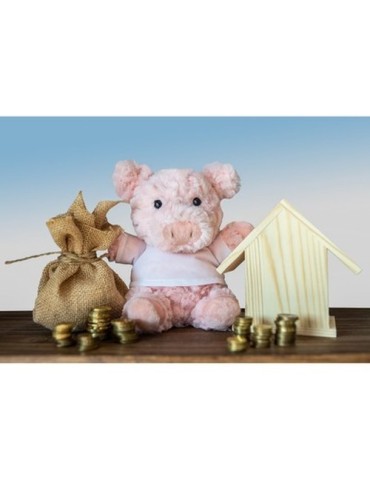 Cochon en peluche | Tailyssia 2