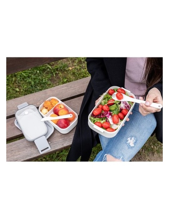 Boîtes à lunch 2 pcs, 2x700 ml, couverts | Cash