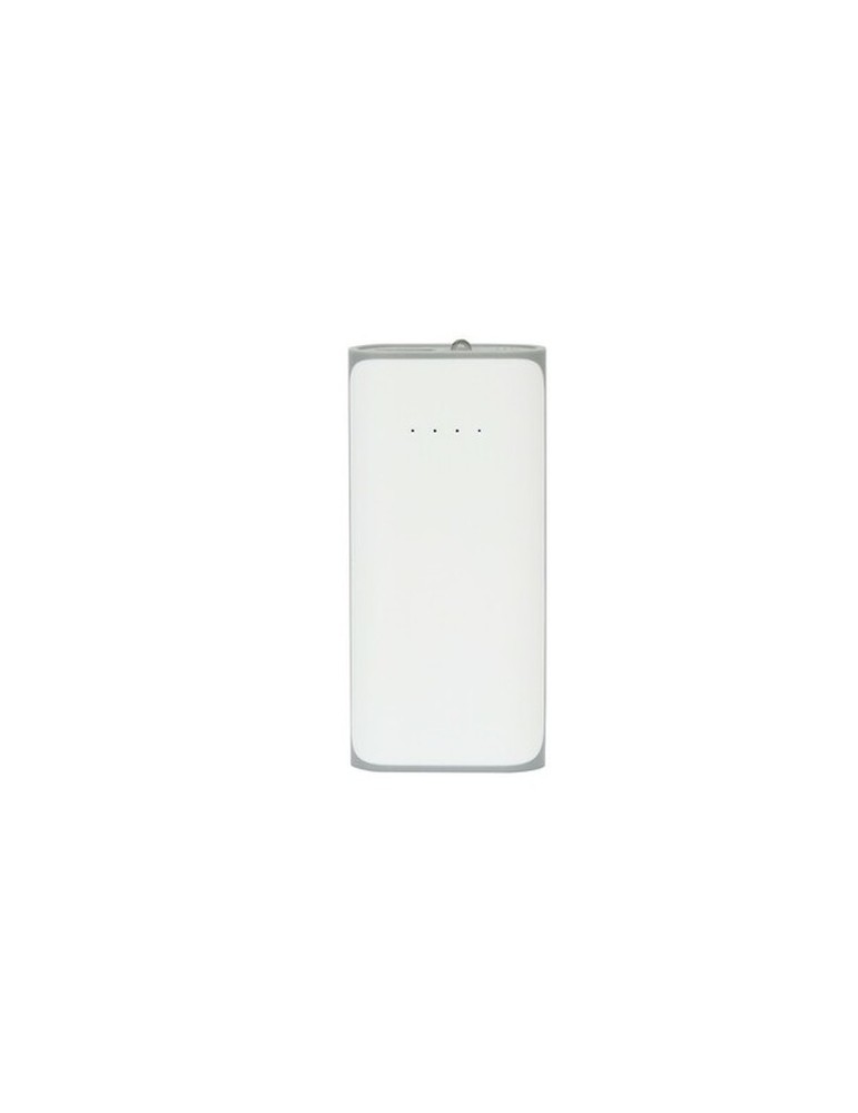 Power Bank 4000 mAh | Birch