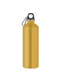 RE-ONE MOSS Bouteille à simple paroi 1L Couleurs : ocre cadeau client original