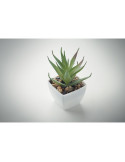 ARTILOE Mini plante artificielle Couleurs : blanc goodies publicitaire événementiel