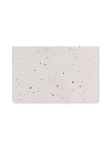 ASIDA Carte de visite pour les graine Couleurs : blanc