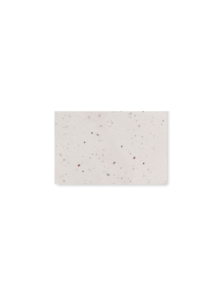 ASIDA Carte de visite pour les graine Couleurs : blanc